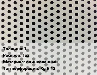 Лист перфорированный 1 1х2 оцинкованный Rg 5-12